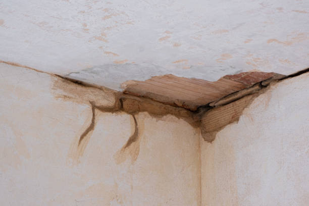 Best Fire Damage Restoration  in Tomahawk, WI