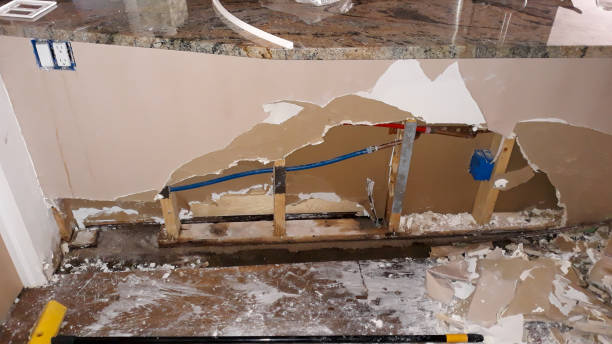 Best Water damage contractors near me  in Tomahawk, WI