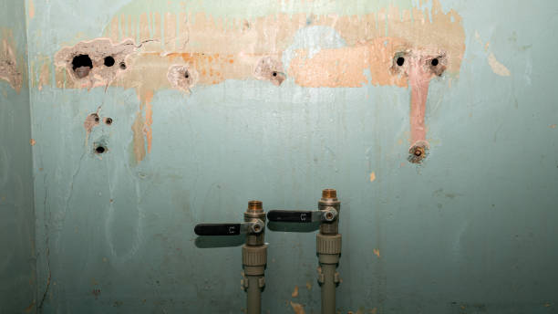 Best Emergency water damage restoration  in Tomahawk, WI