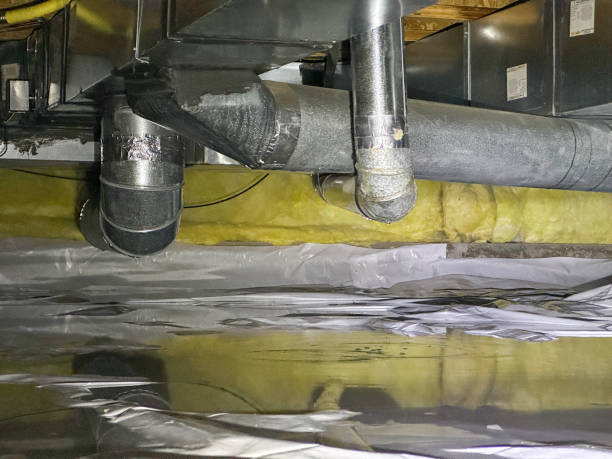 Best Flooded house restoration  in Tomahawk, WI