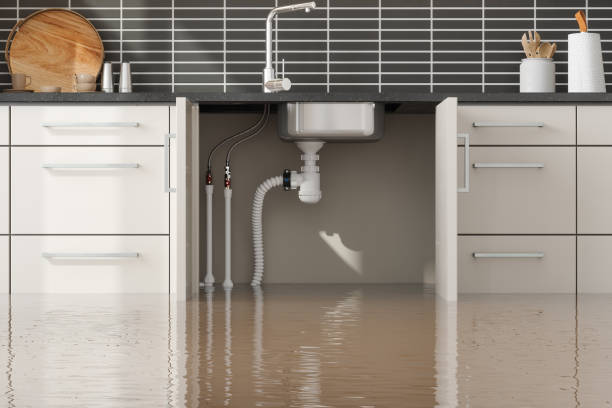 Best Sewage cleanup and water damage restoration  in Tomahawk, WI