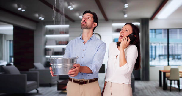 Best Water damage contractors near me  in Tomahawk, WI