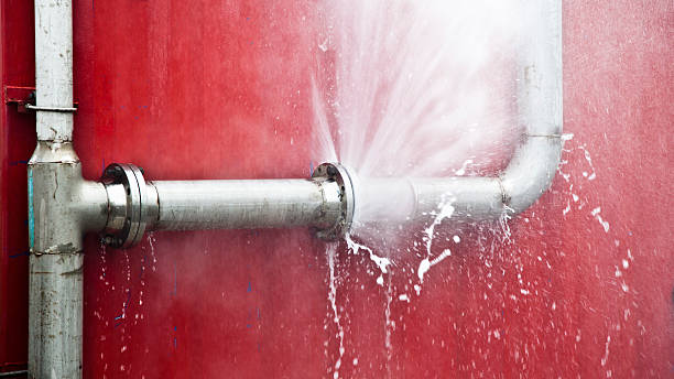 Best Flooded house restoration  in Tomahawk, WI